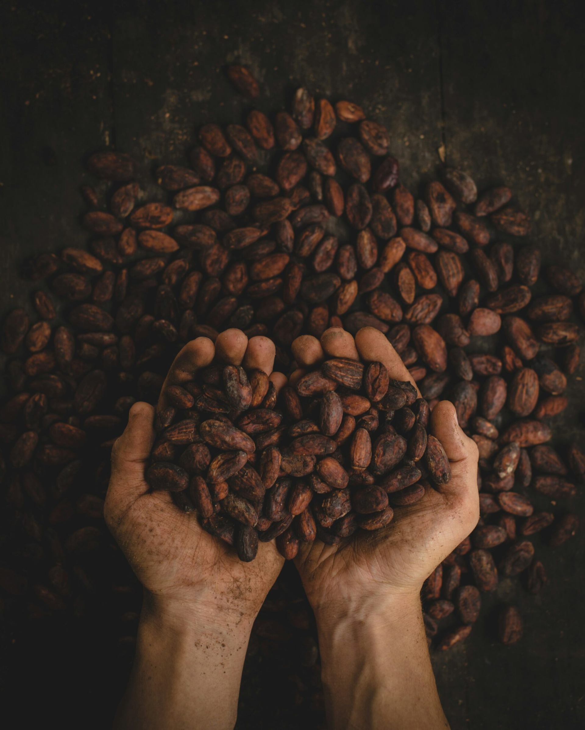 Domori Professional: L’eccellenza del cacao entra nella nostra selezione