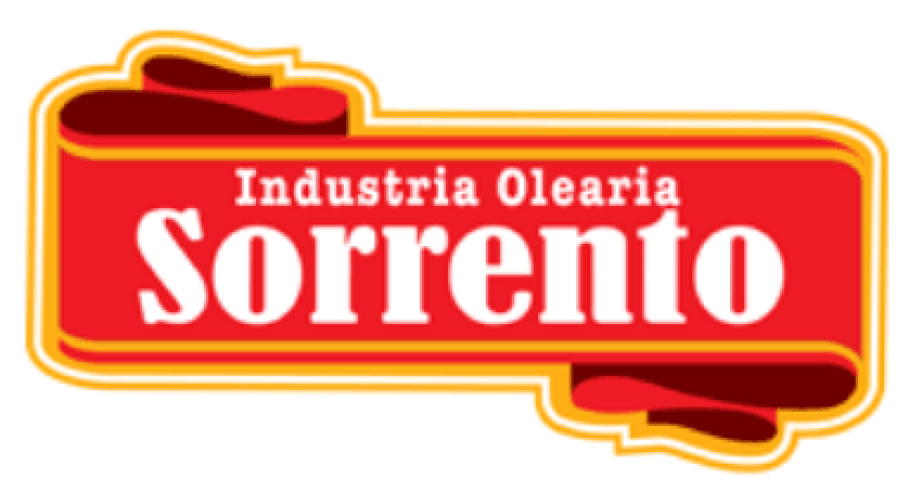 Olearia Sorrento