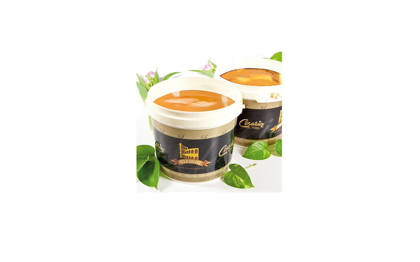 Passata Albicocca Selezione kg 6