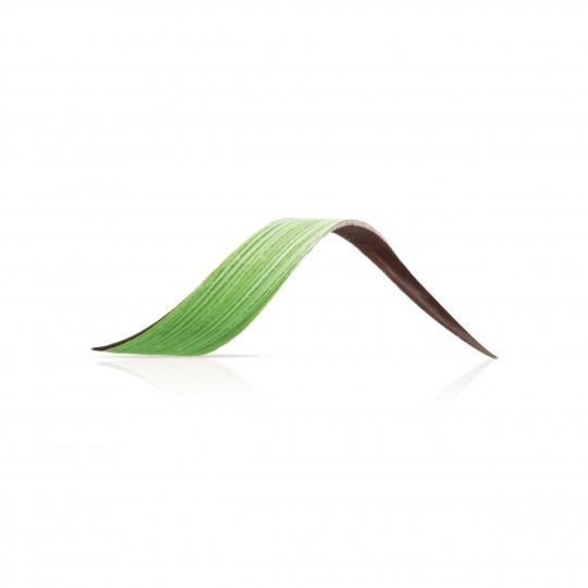 Twist Green E171 Free pz 80