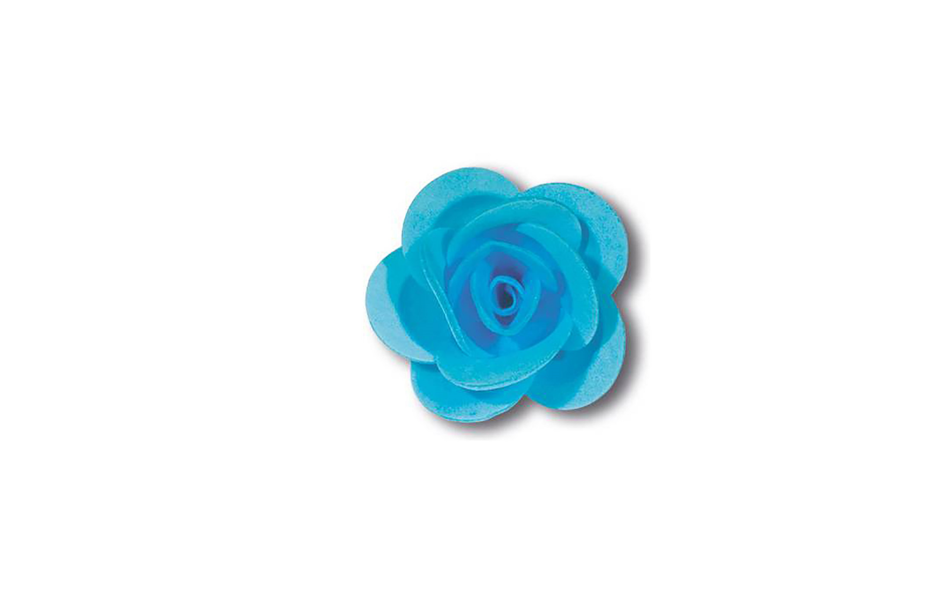 Rosa Grande Celeste NO Foglia pz 100