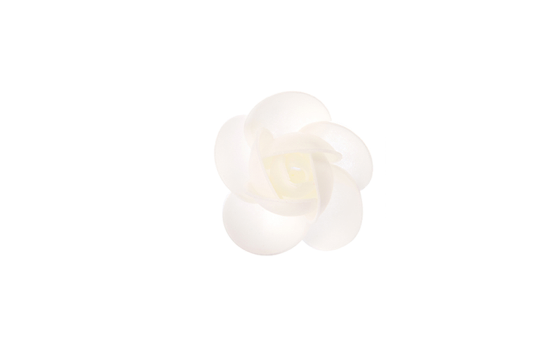 Rosa Grande Bianca NO Foglia pz 100