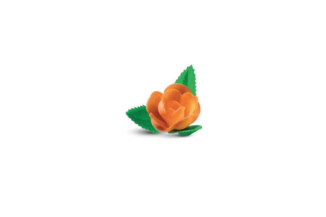 Rosa Grande TEA con Foglia pz 100