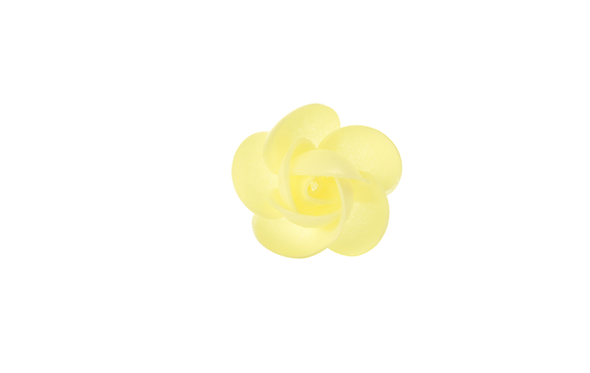 Rosa Grande Giallo NO Foglia pz 100