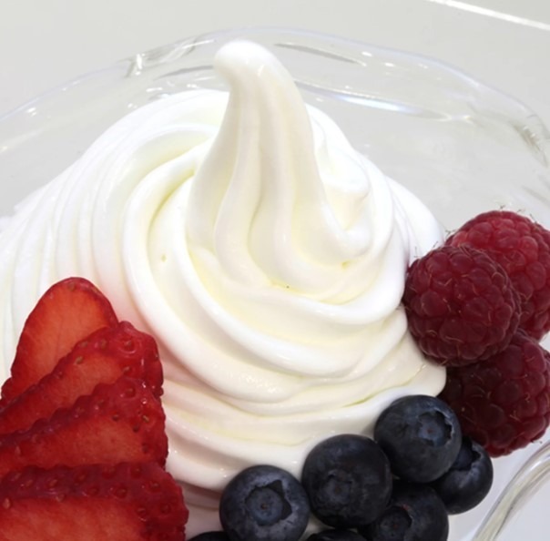 Joysoft Frozen Yogurtop kg 1.6