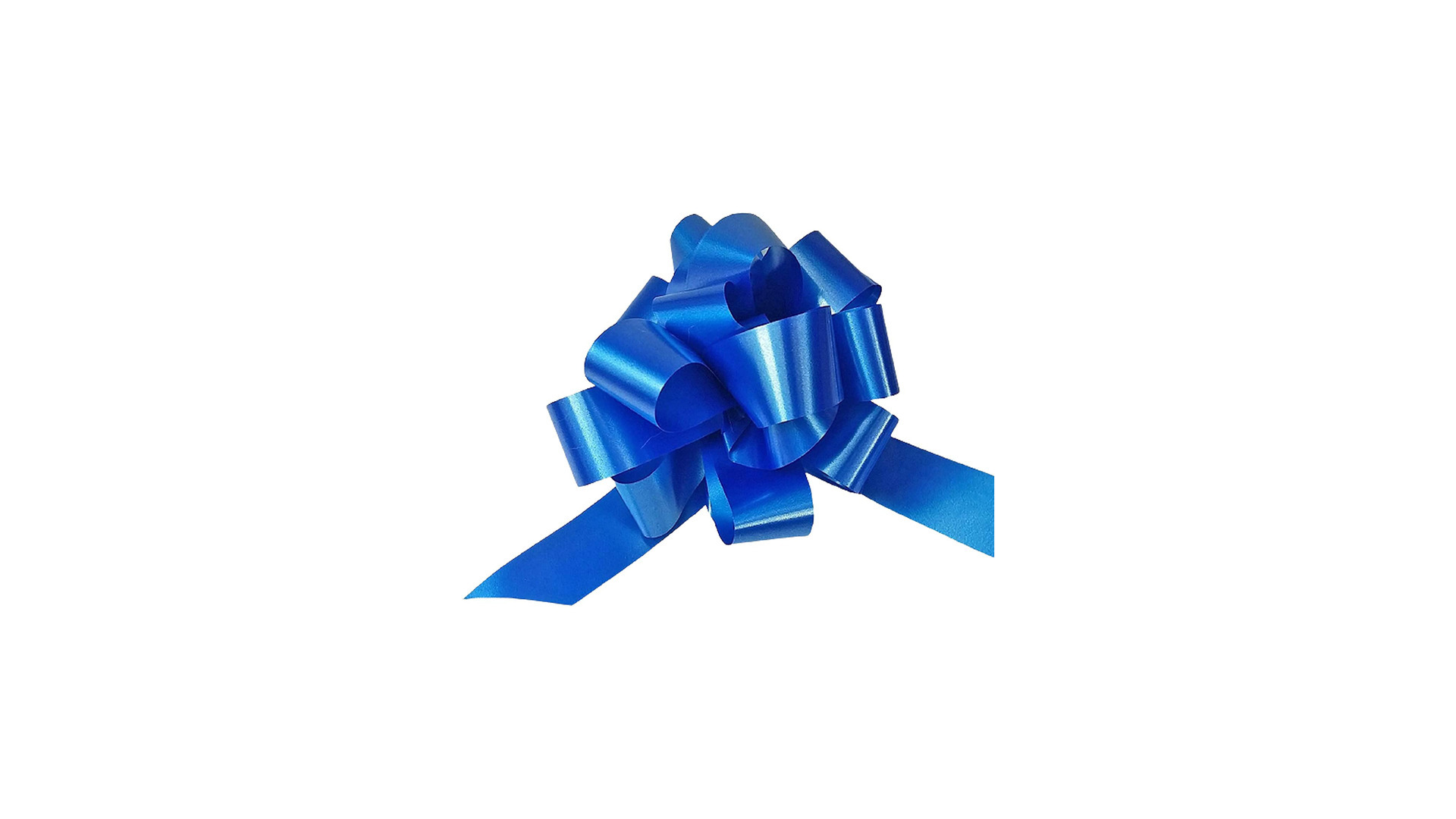 Coccarde 31/C Strip BLU pz 50