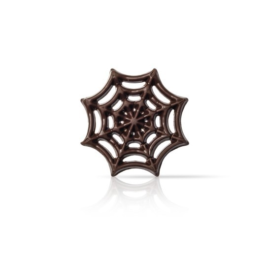 Spider WEB pz 110