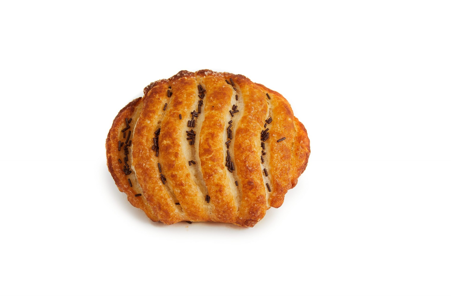 Conchiglia Cacao Nocciola pz 45