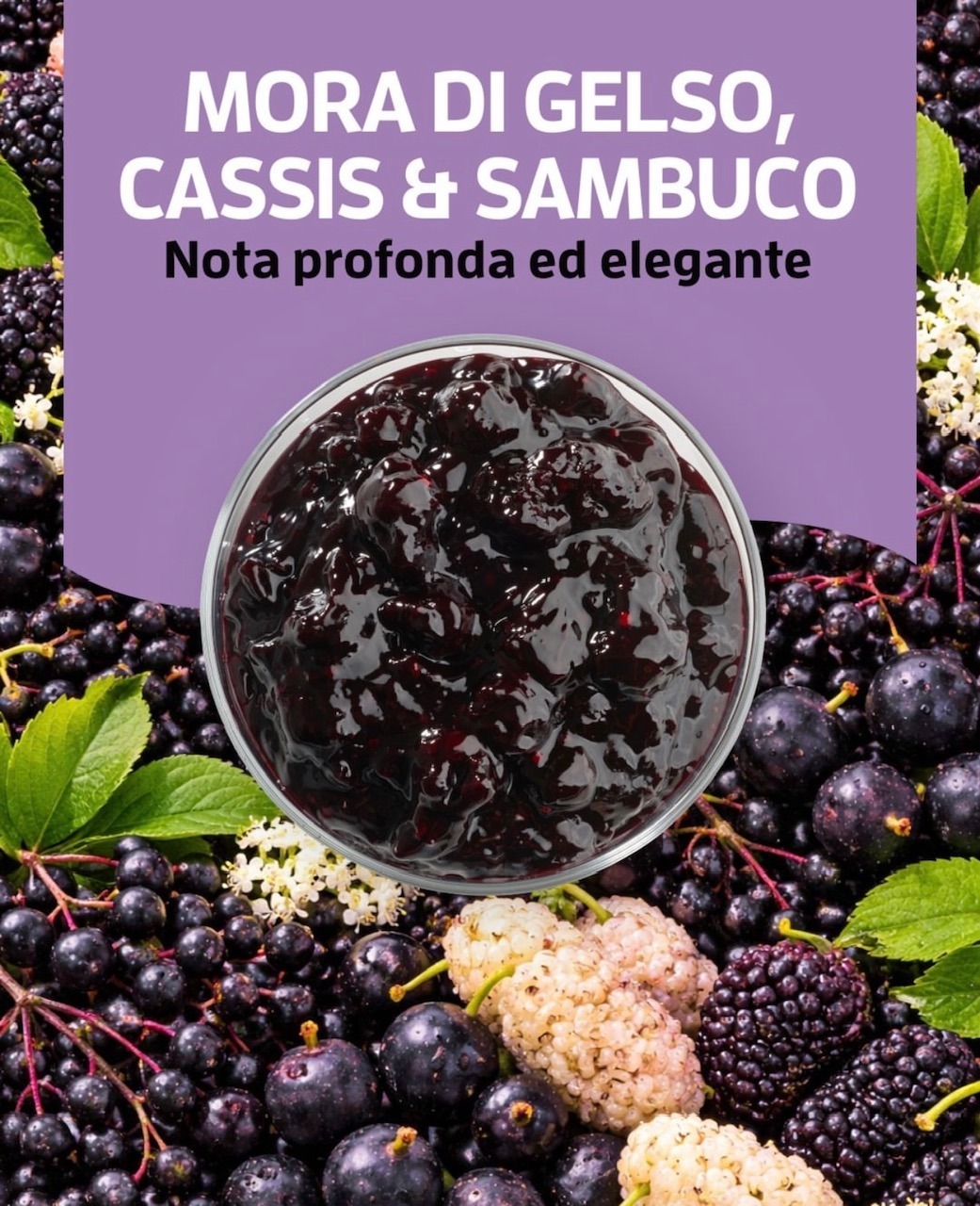 Fruttidor Gelso-Cassis-Sambuco kg 3.3