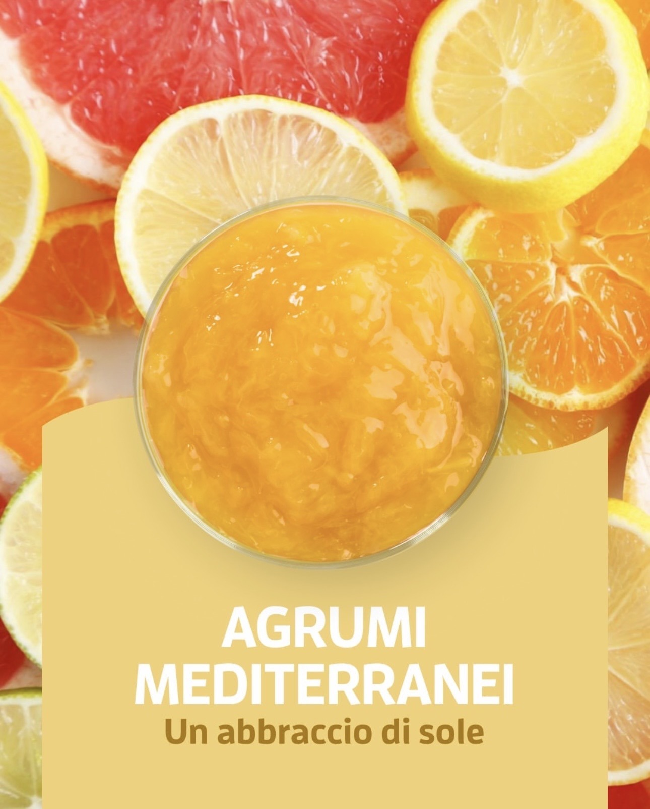 Fruttidor Agrumi Mediterranei kg 3.3