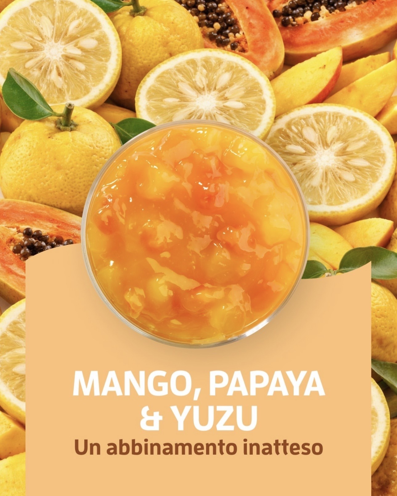 Fruttidor Mango-Papaya-Yuzu kg 3.3