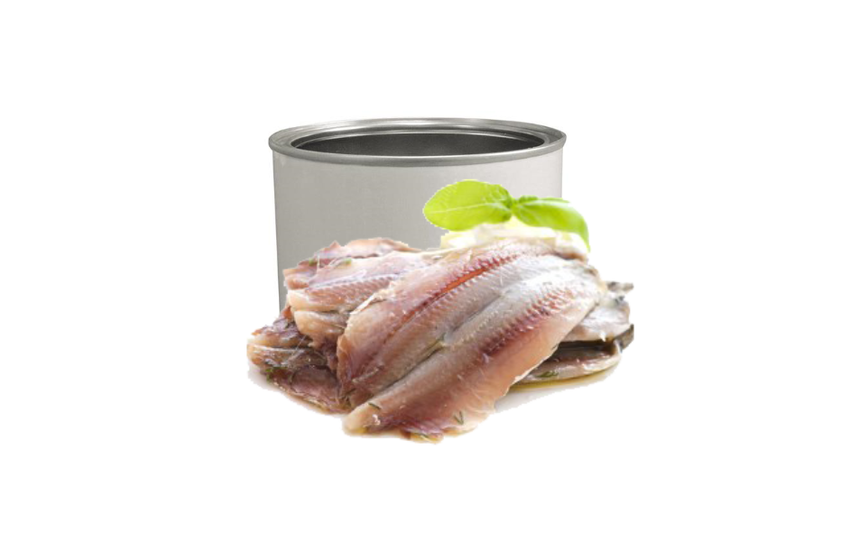 Filetti Acciughe kg 1.5