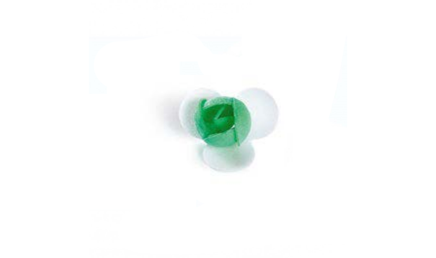 Bocciolino Piccolo Verde pz 200