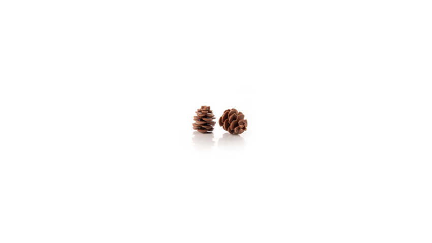 Pinecone 3D pz 18
