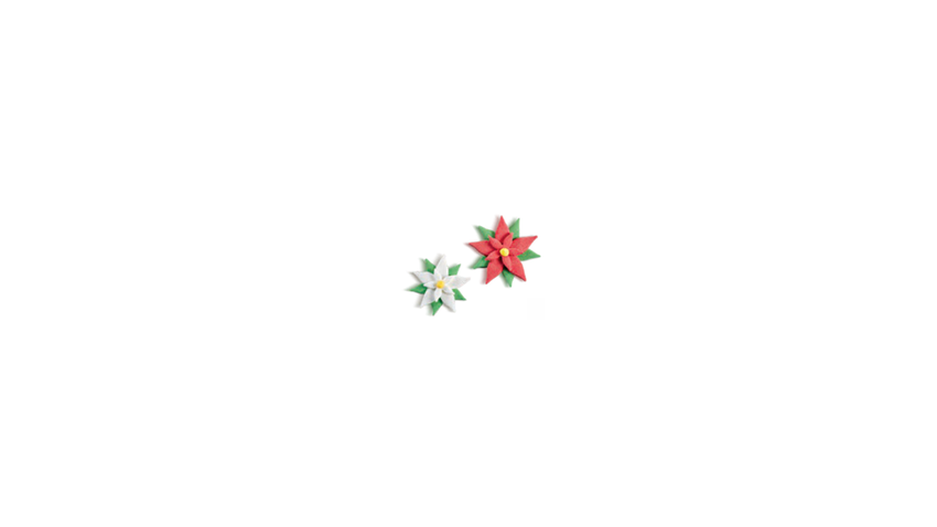 Stelle Natale Assortite pz 70