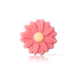 Pink Marguerite pz 200