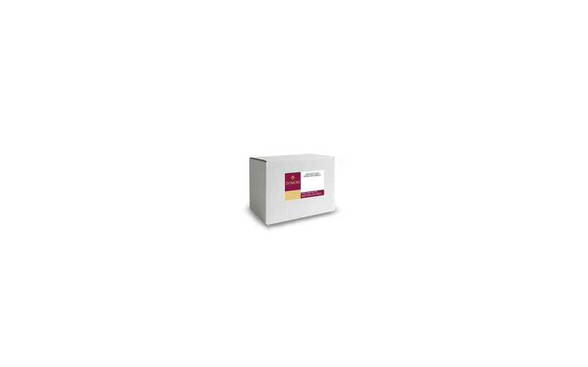 COP. Cioccolato Pistacchio Aurea SF BS kg 5