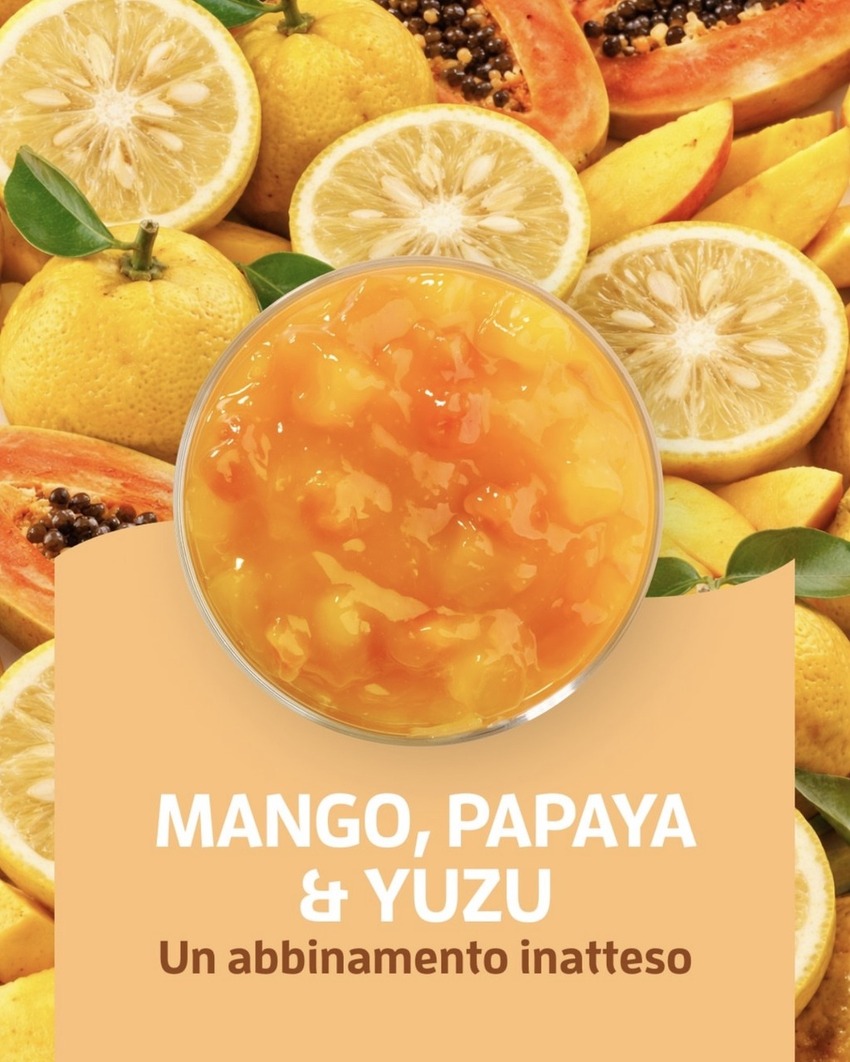 Fruttidor Mango-Papaya-Yuzu kg 3.3